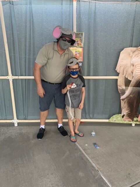 Elephant in the sukkah
